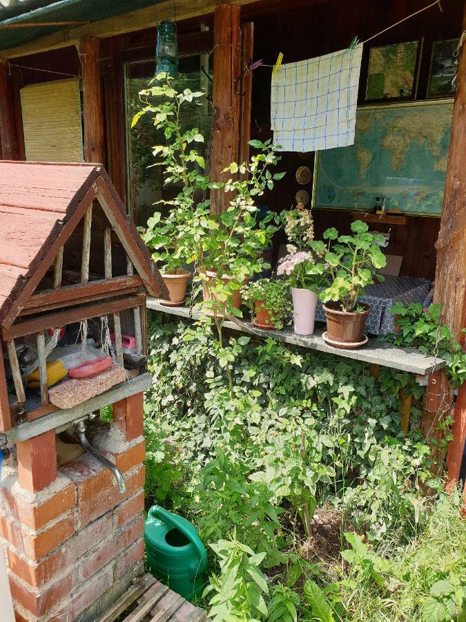 Draga Koncar Guest House Врело-Кореничко Экстерьер фото