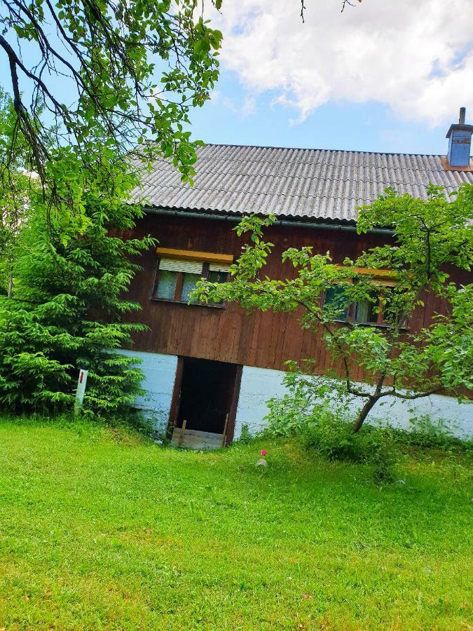 Draga Koncar Guest House Врело-Кореничко Экстерьер фото